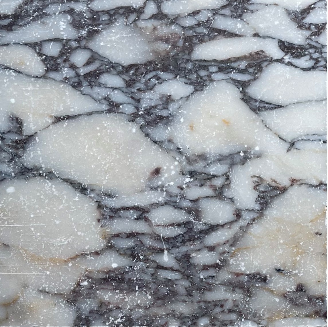 Calacatta Viola Tumbled Square Tile 305X305