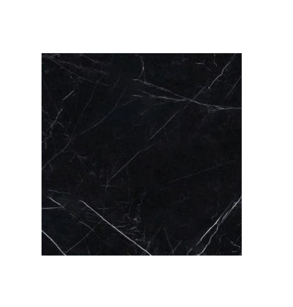 Nero Marquina Honed Square Tile 100X100